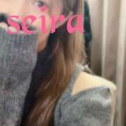 ヒメ日記 2024/12/24 09:58 投稿 せいら 池袋人妻ヒットパレード（シンデレラグループ）