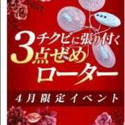 ヒメ日記 2025/04/14 13:42 投稿 せいら 池袋人妻ヒットパレード（シンデレラグループ）