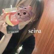 ヒメ日記 2025/04/18 09:52 投稿 せいら 池袋人妻ヒットパレード（シンデレラグループ）