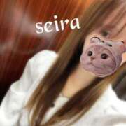 ヒメ日記 2025/04/21 09:55 投稿 せいら 池袋人妻ヒットパレード（シンデレラグループ）