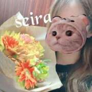 ヒメ日記 2025/04/27 23:19 投稿 せいら 池袋人妻ヒットパレード（シンデレラグループ）