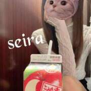 ヒメ日記 2025/04/28 09:52 投稿 せいら 池袋人妻ヒットパレード（シンデレラグループ）