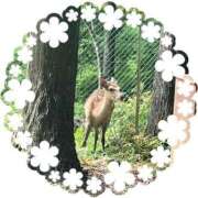 ヒメ日記 2025/05/26 09:34 投稿 せいら 池袋人妻ヒットパレード（シンデレラグループ）