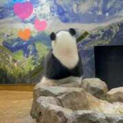 ヒメ日記 2025/06/06 17:32 投稿 せいら 池袋人妻ヒットパレード（シンデレラグループ）