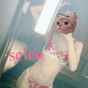 ヒメ日記 2025/06/17 11:18 投稿 せいら 池袋人妻ヒットパレード（シンデレラグループ）