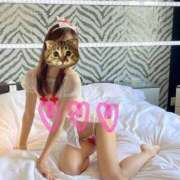 ヒメ日記 2025/07/07 21:31 投稿 せいら 池袋人妻ヒットパレード（シンデレラグループ）