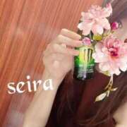 ヒメ日記 2025/07/09 09:55 投稿 せいら 池袋人妻ヒットパレード（シンデレラグループ）