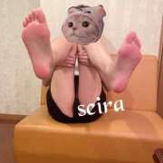 ヒメ日記 2025/07/15 22:34 投稿 せいら 池袋人妻ヒットパレード（シンデレラグループ）