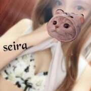 ヒメ日記 2025/09/01 15:03 投稿 せいら 池袋人妻ヒットパレード（シンデレラグループ）