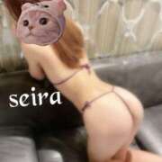 ヒメ日記 2025/09/20 09:44 投稿 せいら 池袋人妻ヒットパレード（シンデレラグループ）