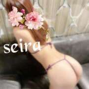 ヒメ日記 2025/09/30 22:52 投稿 せいら 池袋人妻ヒットパレード（シンデレラグループ）