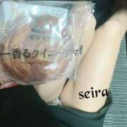 ヒメ日記 2025/10/01 13:24 投稿 せいら 池袋人妻ヒットパレード（シンデレラグループ）