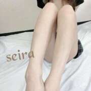 ヒメ日記 2025/10/14 11:28 投稿 せいら 池袋人妻ヒットパレード（シンデレラグループ）