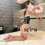 ヒメ日記 2025/11/05 10:35 投稿 せいら 池袋人妻ヒットパレード（シンデレラグループ）