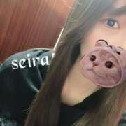 ヒメ日記 2025/11/22 09:49 投稿 せいら 池袋人妻ヒットパレード（シンデレラグループ）