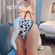 ヒメ日記 2025/12/01 21:51 投稿 せいら 池袋人妻ヒットパレード（シンデレラグループ）