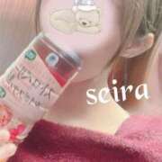 ヒメ日記 2025/12/02 23:02 投稿 せいら 池袋人妻ヒットパレード（シンデレラグループ）