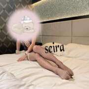 ヒメ日記 2025/12/03 14:16 投稿 せいら 池袋人妻ヒットパレード（シンデレラグループ）