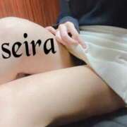 ヒメ日記 2025/12/09 11:11 投稿 せいら 池袋人妻ヒットパレード（シンデレラグループ）