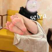 ヒメ日記 2025/12/12 22:13 投稿 せいら 池袋人妻ヒットパレード（シンデレラグループ）