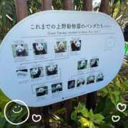 ヒメ日記 2025/12/18 21:51 投稿 せいら 池袋人妻ヒットパレード（シンデレラグループ）