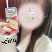 ヒメ日記 2025/12/19 11:34 投稿 せいら 池袋人妻ヒットパレード（シンデレラグループ）