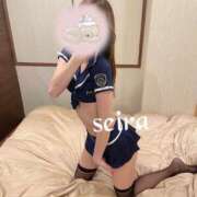 ヒメ日記 2025/12/20 09:58 投稿 せいら 池袋人妻ヒットパレード（シンデレラグループ）