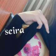 ヒメ日記 2025/12/22 11:41 投稿 せいら 池袋人妻ヒットパレード（シンデレラグループ）