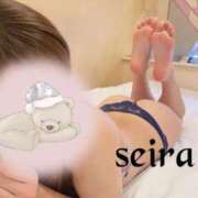 ヒメ日記 2026/01/27 10:04 投稿 せいら 池袋人妻ヒットパレード（シンデレラグループ）