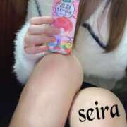 ヒメ日記 2026/02/17 09:56 投稿 せいら 池袋人妻ヒットパレード（シンデレラグループ）