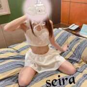 ヒメ日記 2026/02/23 09:39 投稿 せいら 池袋人妻ヒットパレード（シンデレラグループ）