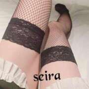 ヒメ日記 2026/02/24 10:04 投稿 せいら 池袋人妻ヒットパレード（シンデレラグループ）