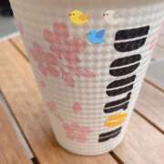 ヒメ日記 2026/02/26 15:18 投稿 せいら 池袋人妻ヒットパレード（シンデレラグループ）