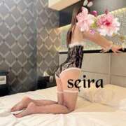 ヒメ日記 2026/02/28 09:42 投稿 せいら 池袋人妻ヒットパレード（シンデレラグループ）