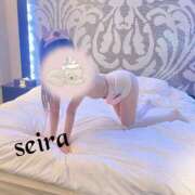 ヒメ日記 2026/03/31 11:26 投稿 せいら 池袋人妻ヒットパレード（シンデレラグループ）