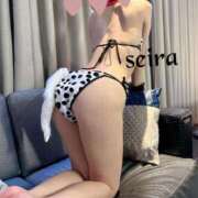 せいら 明日はなにする？ 池袋人妻ヒットパレード（シンデレラグループ）