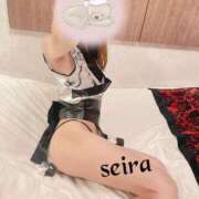 ヒメ日記 2026/04/27 10:10 投稿 せいら 池袋人妻ヒットパレード（シンデレラグループ）