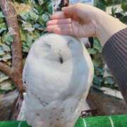 ヒメ日記 2026/03/18 22:57 投稿 えみり 池袋人妻ヒットパレード（シンデレラグループ）