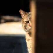 ヒメ日記 2025/02/14 12:40 投稿 ちなつサン peachな若奥さん