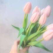 ヒメ日記 2025/03/14 22:30 投稿 すみれ 乳首愛撫専門店「五反田シルキータッチ」