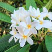 ヒメ日記 2025/09/12 22:30 投稿 すみれ 乳首愛撫専門店「五反田シルキータッチ」