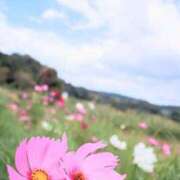 ヒメ日記 2025/10/10 22:30 投稿 すみれ 乳首愛撫専門店「五反田シルキータッチ」