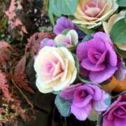 すみれ 新春万福 乳首愛撫専門店「五反田シルキータッチ」