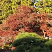 ヒメ日記 2024/12/14 09:46 投稿 わかこ 完熟とまと(十三)