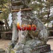 ヒメ日記 2024/12/31 17:26 投稿 青居加奈 五十路マダム 愛されたい熟女たち 高松店