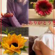 ヒメ日記 2025/04/29 15:24 投稿 青居加奈 五十路マダム 愛されたい熟女たち 高松店