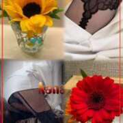 ヒメ日記 2025/05/02 21:46 投稿 青居加奈 五十路マダム 愛されたい熟女たち 高松店