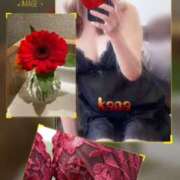 ヒメ日記 2025/05/29 13:48 投稿 青居加奈 五十路マダム 愛されたい熟女たち 高松店