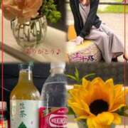 ヒメ日記 2025/07/06 13:54 投稿 青居加奈 五十路マダム 愛されたい熟女たち 高松店