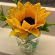 ヒメ日記 2025/07/23 21:56 投稿 青居加奈 五十路マダム 愛されたい熟女たち 高松店